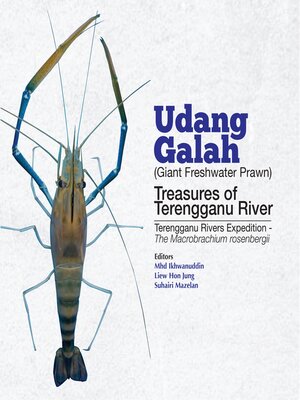 cover image of Udang Galah Treasure of Terengganu River